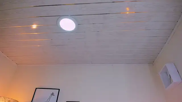 LusyKitty online show from 12/02/25, 03:40