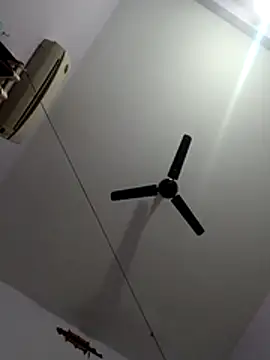 monster-dickk online show from 12/02/25, 03:18