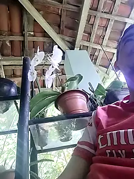 Boragozarvem online show from 10/07/25, 02:58