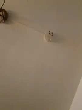 Snapshot of LightskinBumpa chatting on 11/15/25, 02:09 LightskinBumpa online show from 11/15/25, 02:09