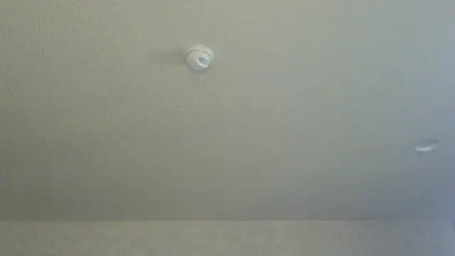 Snapshot of Flossee chatting on 04/11/26, 12:15 Flossee online show from 04/11/26, 12:15