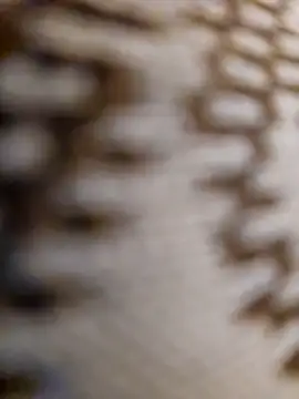 mojaymort online show from 11/11/25, 10:54