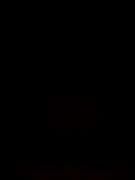 Snapshot of SexyLeon8 chatting on 09/12/25, 12:33 SexyLeon8 online show from 09/12/25, 12:33