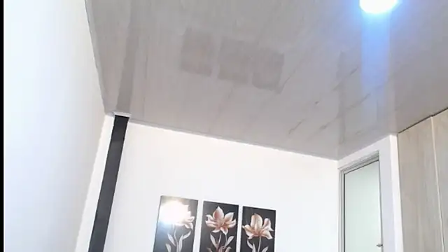 pinky f00x online show from 05/11/26, 07:22