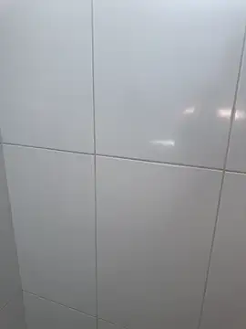 Brinquedo-da-zoe online show from 03/15/26, 07:20