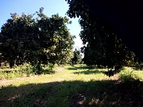 stefanoss321 online show from 03/09/26, 09:24