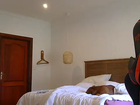 TroyDieselXXX online show from 11/23/25, 06:24