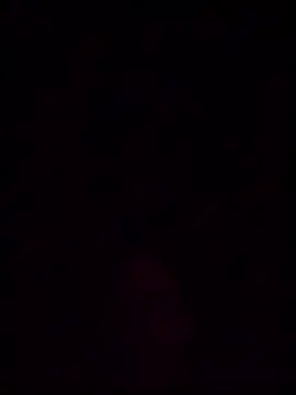 helldonk online show from 03/23/26, 08:07