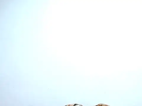 saara johnson496 online show from 10/30/25, 11:38