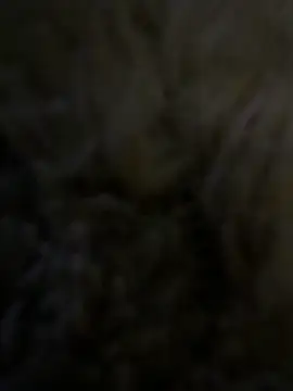 anonimgirl18old online show from 04/29/26, 07:53