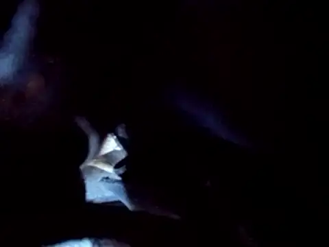 Snapshot of PENTHOUSECEOCLUBHOUSEPRES chatting on 11/25/25, 06:41 PENTHOUSECEOCLUBHOUSEPRES online show from 11/25/25, 06:41