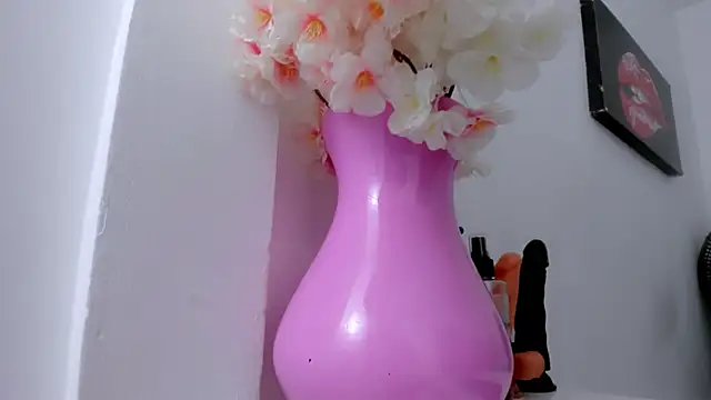 Snapshot of eimy_skinny_ chatting on 01/18/26, 01:04 eimy skinny online show from 01/18/26, 01:04