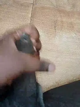 Saikishore00000 online show from 09/15/25, 08:25