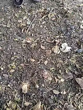 Snapshot of Telugu_person12 chatting on 01/14/26, 07:58 Telugu person12 online show from 01/14/26, 07:58