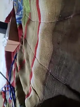 Snapshot of Telugu_person12 chatting on 02/16/26, 09:00 Telugu person12 online show from 02/16/26, 09:00