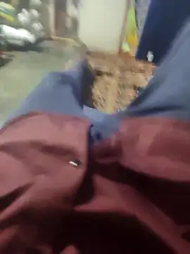 Snapshot of Telugu_person12 chatting on 03/16/26, 03:38 Telugu person12 online show from 03/16/26, 03:38