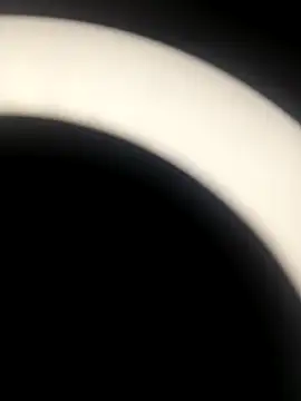 sapna 2121 online show from 11/19/25, 07:08