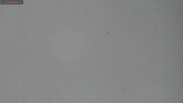 Sophia Ebony online show from 06/05/26, 12:11