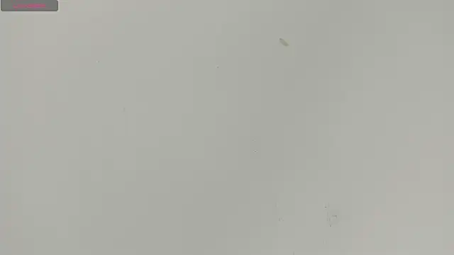 Sophia Ebony online show from 06/18/26, 12:20