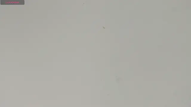 Sophia Ebony online show from 06/29/26, 01:22