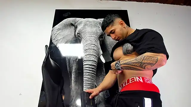 king falconer online show from 10/31/25, 02:12