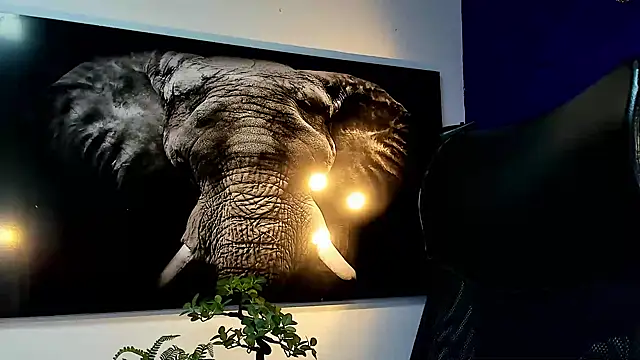 king falconer online show from 11/27/25, 12:56