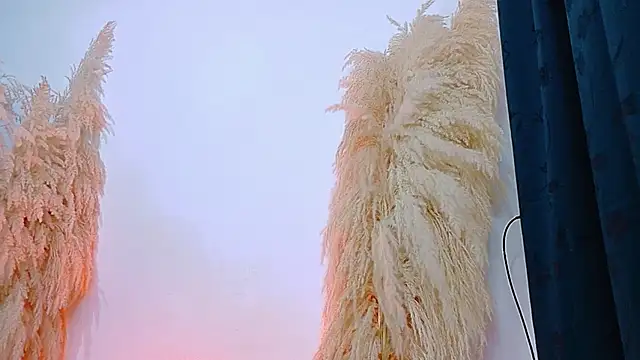 JulietaDavis online show from 02/20/26, 09:32