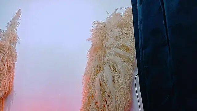 JulietaDavis online show from 02/22/26, 09:41