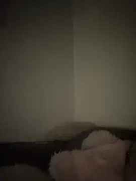 Bimalehung online show from 11/16/25, 02:06