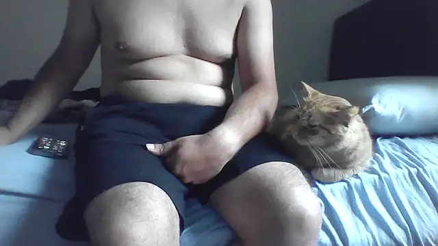 kocasosisli online show from 07/09/26, 04:27
