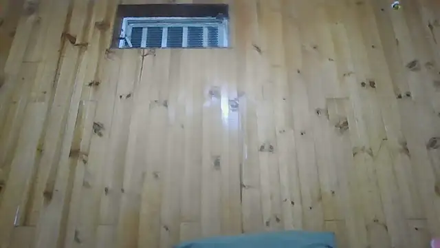 Roselingalvis13 online show from 12/03/25, 03:03