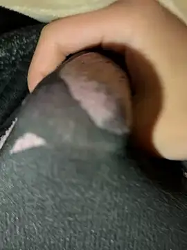 Snapshot of rrrrrriyyffhyeeee chatting on 02/16/26, 12:29 rrrrrriyyffhyeeee online show from 02/16/26, 12:29