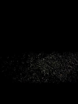 Snapshot of steelwoodVids chatting on 11/19/25, 01:49 steelwoodVids online show from 11/19/25, 01:49