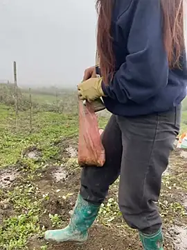 Snapshot of isaaa5 chatting on 03/17/26, 02:38 isaaa5 online show from 03/17/26, 02:38