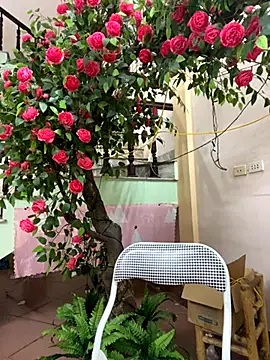 Bollozzy 89 online show from 09/29/25, 04:23