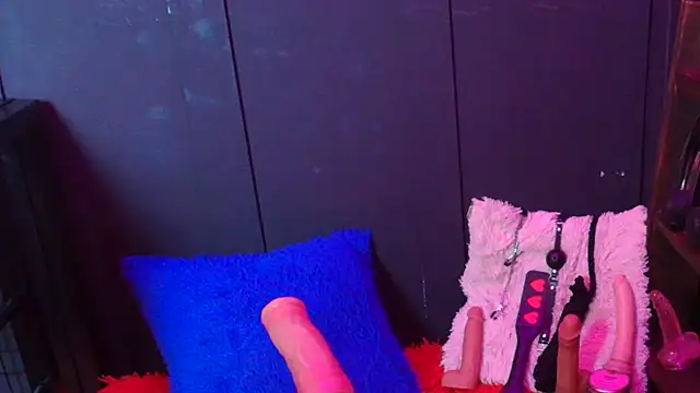 Meghan storm online show from 11/22/25, 02:27