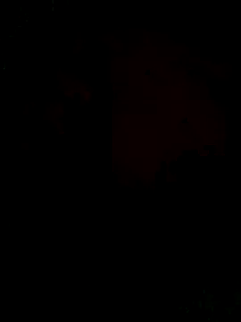 Ori-Lynk online show from 12/01/25, 06:29