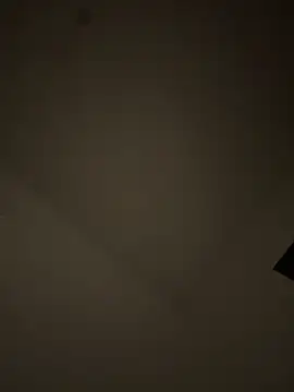 Lapampara0 online show from 10/23/25, 10:52