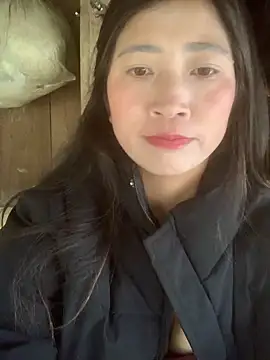 Snapshot of ThiHa003 chatting on 11/18/25, 06:51 ThiHa003 online show from 11/18/25, 06:51