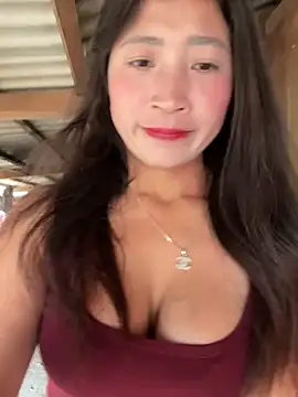 Snapshot of ThiHa003 chatting on 01/17/26, 03:33 ThiHa003 online show from 01/17/26, 03:33