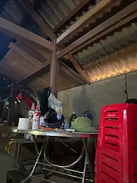 Snapshot of ThiHa003 chatting on 01/18/26, 05:11 ThiHa003 online show from 01/18/26, 05:11