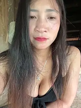 Snapshot of ThiHa003 chatting on 02/26/26, 08:13 ThiHa003 online show from 02/26/26, 08:13