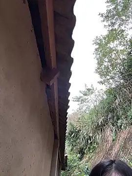 Snapshot of ThiHa003 chatting on 02/27/26, 01:27 ThiHa003 online show from 02/27/26, 01:27