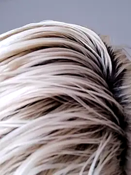 VikaKing online show from 10/12/25, 08:57