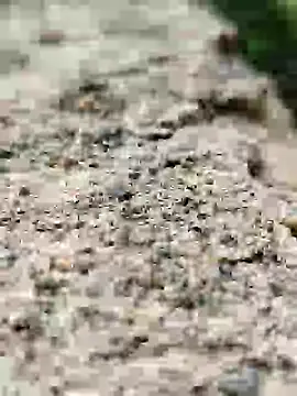 Snapshot of Girls_pussy_rider chatting on 09/14/25, 01:49 Girls pussy rider online show from 09/14/25, 01:49