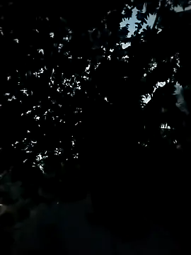 Snapshot of Girls_pussy_rider chatting on 11/24/25, 12:38 Girls pussy rider online show from 11/24/25, 12:38