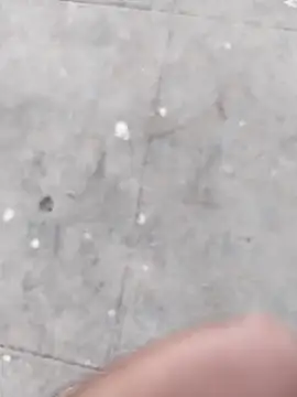 Snapshot of Wet_BunnyFun chatting on 11/05/25, 12:05 Wet BunnyFun online show from 11/05/25, 12:05