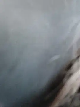 Snapshot of meomeocute chatting on 03/11/26, 10:21 meomeocute online show from 03/11/26, 10:21