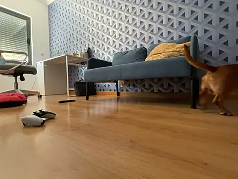 Snapshot of cumman789860 chatting on 10/02/25, 02:35 cumman789860 online show from 10/02/25, 02:35