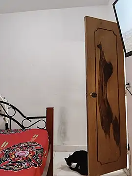 NARNYALABELLA online show from 07/16/26, 11:05